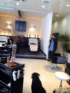 函館・アートレス