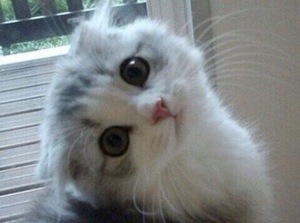 函館・アートレス