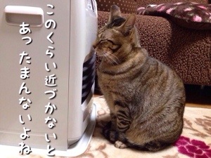 函館・アートレス