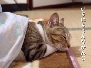 函館・アートレス