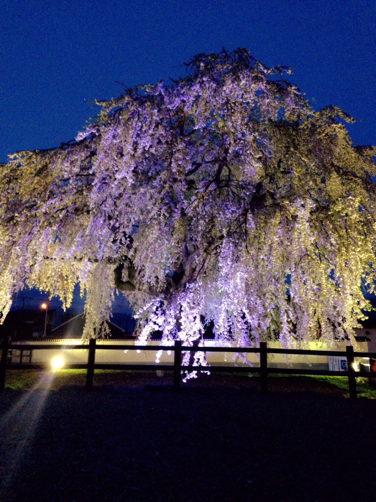 函館・アートレス