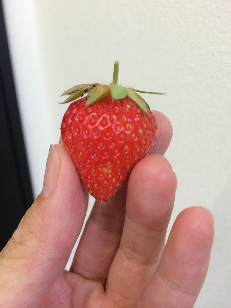 函館・アートレス