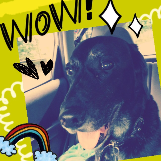 函館・アートレス