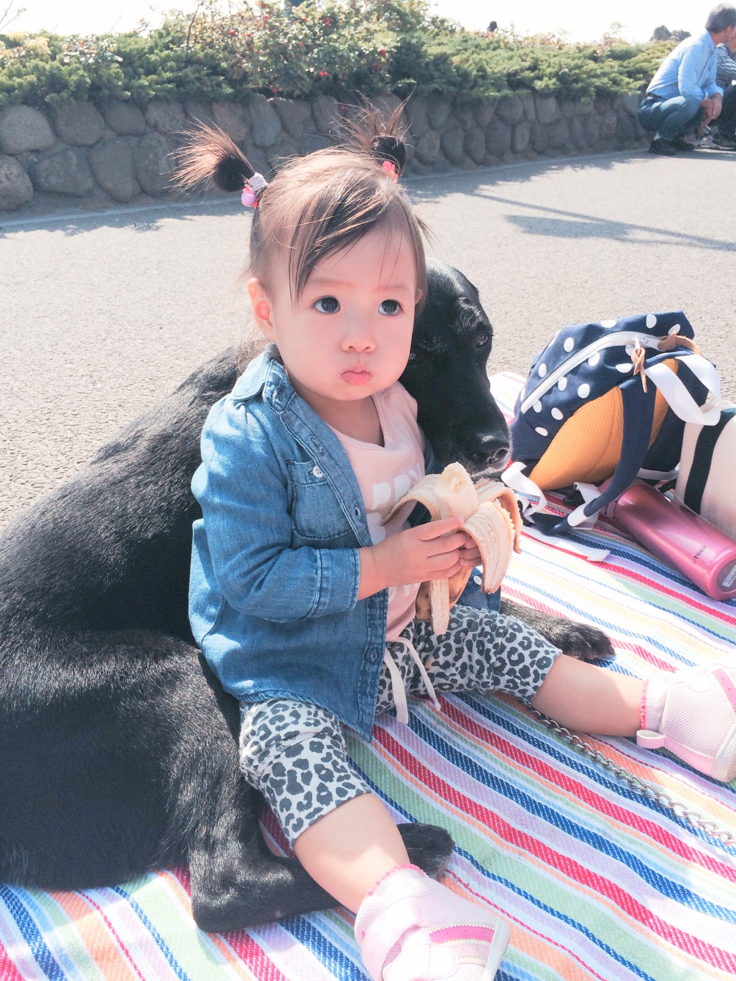 函館・アートレス