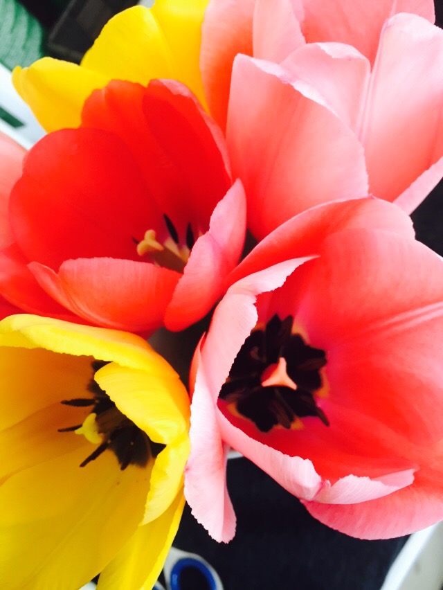 函館・アートレス