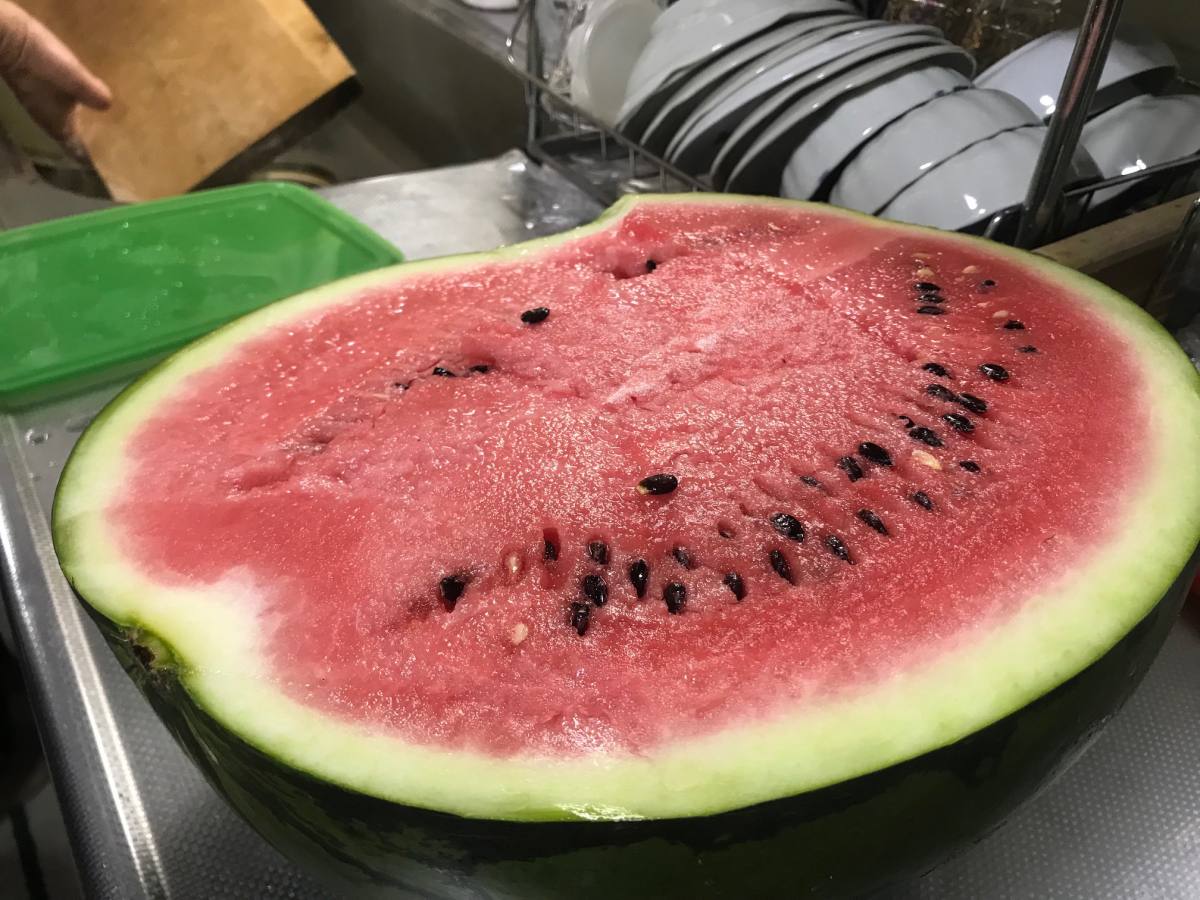 函館・アートレス